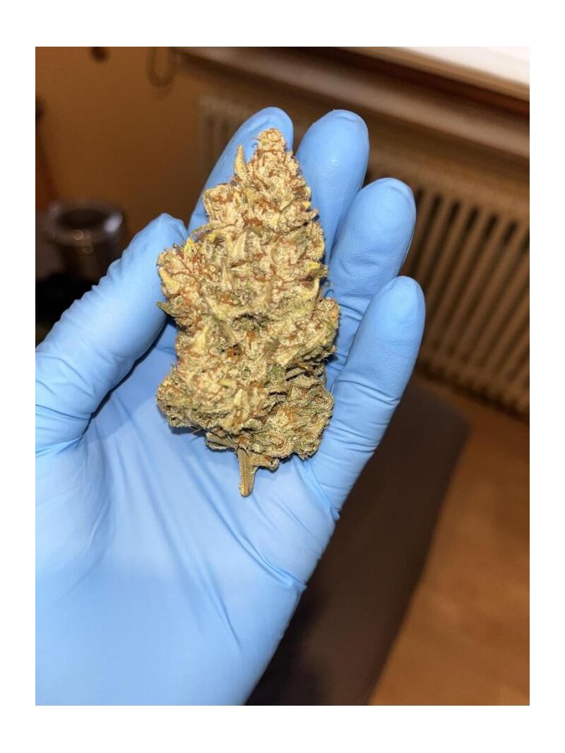 Bigfoot Glue, Фасовка: 3, изображение 6